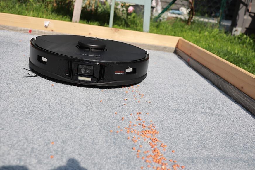 The Roborock S7 MaxV Ultra vacuums lentils on a carpet in the test.